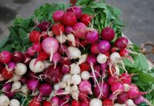 6 loại rau dễ trồng trong những khu vườn đô thị