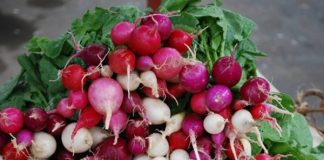 6 loại rau dễ trồng trong những khu vườn đô thị