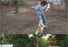 Cải tạo sân vườn hoang sơ thành khuôn viên xanh hữu ích