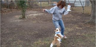 Cải tạo sân vườn hoang sơ thành khuôn viên xanh hữu ích