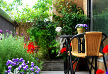 Góc sân và khoảng trời mùa thu