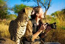 Ảnh: Người đẹp liều mạng làm bạn với động vật hoang dã