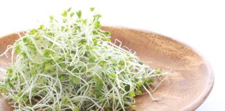 Rau mầm dễ nhiễm khuẩn nên phải ăn trước ngày hết hạn - Ảnh: Shutterstock