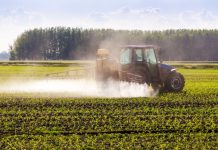 Điều gì làm nên sự ‘nguy hiểm’ của thực phẩm biến đổi gien?