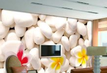 Trang trí phòng khách nhỏ cuốn hút 