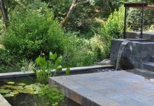 Thiết kế thác nước mang vẻ đẹp yên bình cho vườn nhà