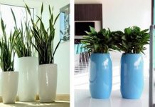 Bí quyết mang sức sống xanh tươi của cây cối vào nhà