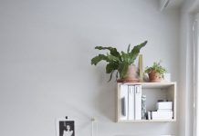 12 ý tưởng sử dụng cây xanh trong trang trí phòng làm việc