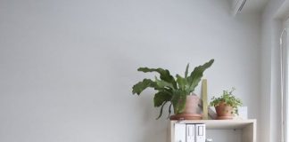 12 ý tưởng sử dụng cây xanh trong trang trí phòng làm việc