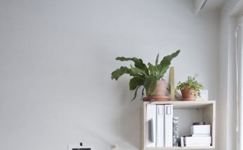 12 ý tưởng sử dụng cây xanh trong trang trí phòng làm việc