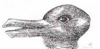 Kiểm tra trí não cực nhanh với bức tranh hơn 100 năm tuổi