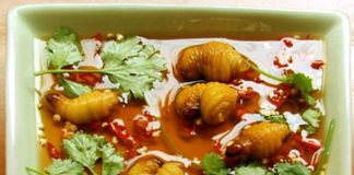 4 loại ấu trùng Việt Nam “vừa ngon vừa sợ”