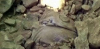 Say rượu, người đàn ông vô tình bị chôn sống