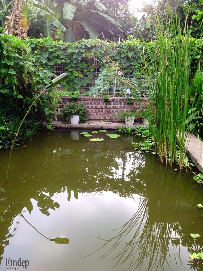 Ngoại thất đầy đủ ao vườn xanh mát giữa lòng Hà Nội