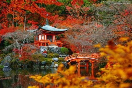 Daigo-ji (Kyoto, Nhật Bản): Mùa thu, cảnh vật khắp nơi trên nước Nhật đều trở nên thơ mộng, đặc biệt thơ mộng nhất vẫn là Daigo-ji. Những con đường nhiều màu sắc, những ngôi nhà đều vắt vẻo lọt thỏm giữa bao hàng cây…
