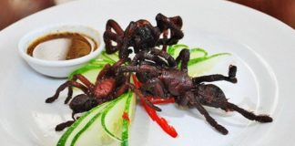 Những món ăn "kinh dị" nhất thế giới không phải ai cũng dám thử