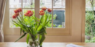 Thay đổi phong thủy trong nhà bằng cây và hoa