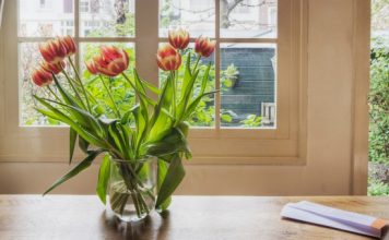 Thay đổi phong thủy trong nhà bằng cây và hoa