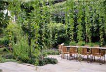 Các yếu tố quan trọng để có một sân vườn đẹp    