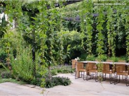 Các yếu tố quan trọng để có một sân vườn đẹp    