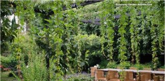 Các yếu tố quan trọng để có một sân vườn đẹp    