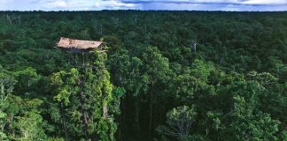 Khóc thét với cuộc sống của bộ tộc ăn thịt người ở Indonesia