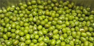 Hướng dẫn cách làm bánh đậu xanh siêu hấp dẫn