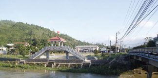 Đông đảo nhân dân địa phương và khách du lịch đi Chợ Gò sáng Mùng 1 Tết Nguyên đán.