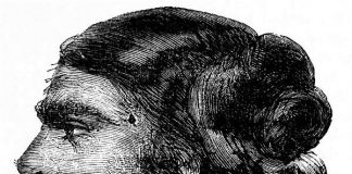 Bí ẩn về 'người phụ nữ lai gấu'