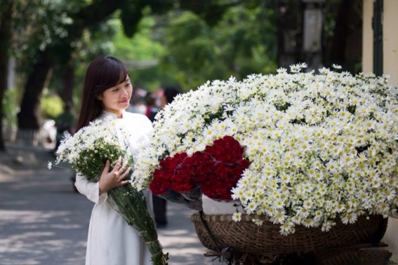 Ngắm Việt Nam đẹp dịu dàng qua những mùa hoa