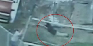 du-khach-phan-khich-nhay-vao-chuong-choi-voi-ho