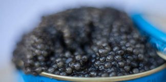 Những món quà giáng sinh đắt nhất thế giới 1