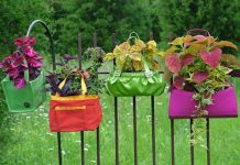 Chậu cây ngộ nghĩnh làm từ đồ bỏ đi