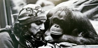 nhiep anh gia dien 1