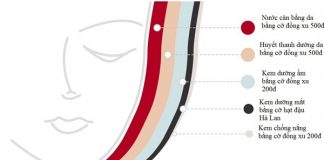 Thứ tự chính xác khi thoa các loại mỹ phẩm dưỡng da