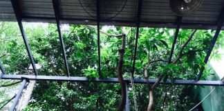 Quán hủ tiếu 60.000 đồng một tô vẫn đông khách ở Sài Gòn