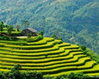 Những địa điểm nên đến khi đi du lịch ở Bình Thuận