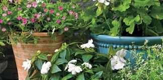 Dễ ợt cách làm bình hoa giả để trang trí nhà ngày xuân1