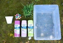 4 bước tự làm chậu cây bằng cốc giấy 