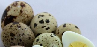 Biết 10 mẹo này, vụng về mấy cũng thành “vua đầu bếp”