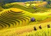 Những điểm ngắm mùa thu lãng mạn nhất xứ Bắc