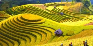 Những điểm ngắm mùa thu lãng mạn nhất xứ Bắc