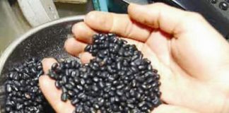 Đậu đen giúp giảm béo và trị nám hiệu quả. Ảnh minh họa