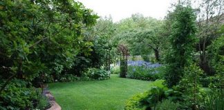 Sức mạnh của những bãi cỏ trong việc làm duyên sân vườn 1