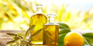 trị nám da bằng dầu oliu 