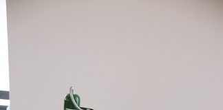 10 mẹo trồng cây tại văn phòng không thể bỏ qua 1