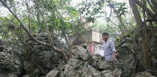 Kỳ bí chùa Trinh Tiết và hòn đá tự lớn tại Hà Nam