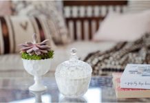 Xu hướng trồng cây trong chậu nhỏ 2015 1