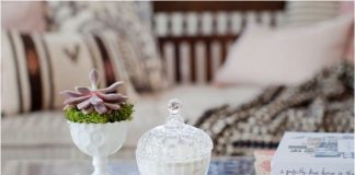 Xu hướng trồng cây trong chậu nhỏ 2015 1