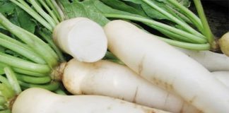 củ cải giảm cân 